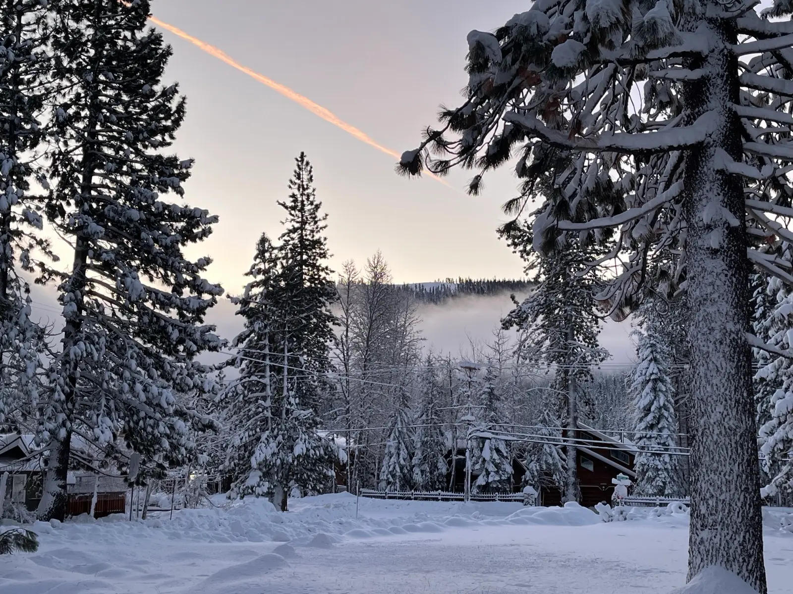 Winter dawn through the pines near Donner Lake Inn